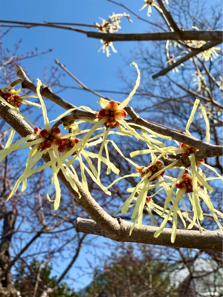 f:id:nozosan-net:20250328084203j:image