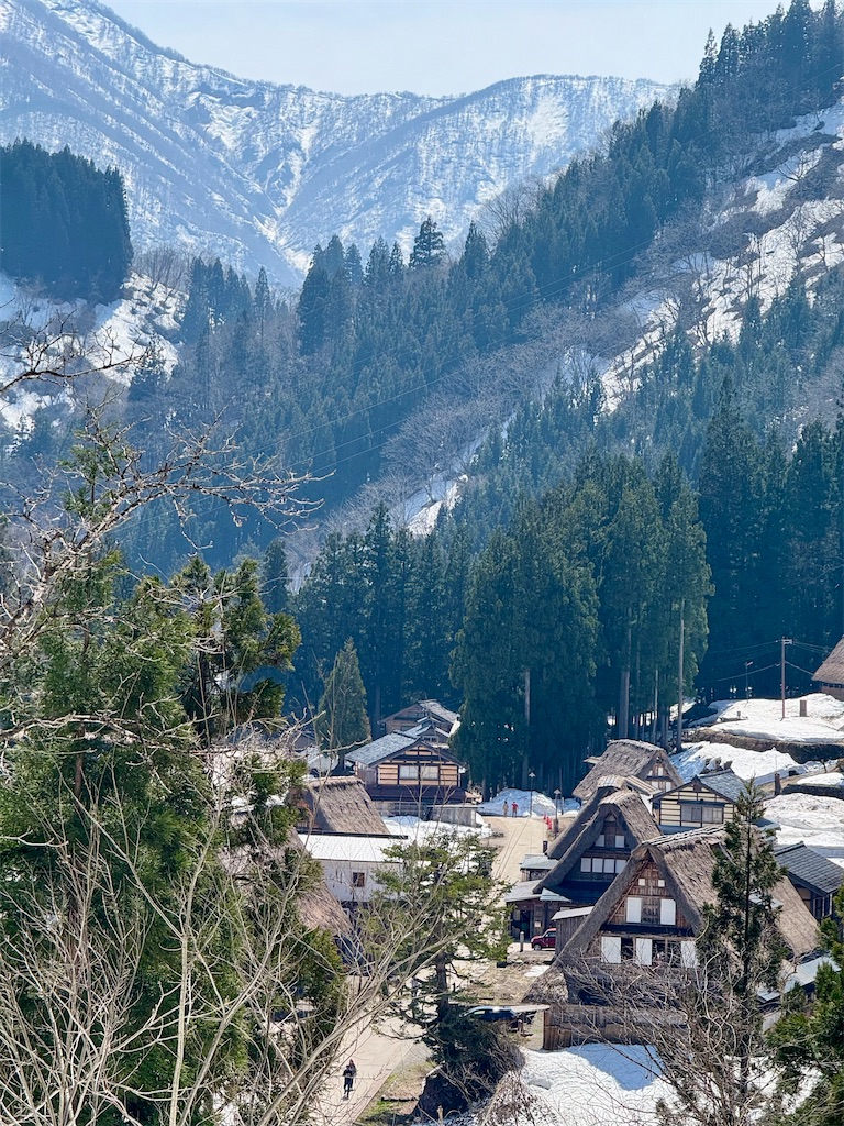 f:id:nozosan-net:20250413081149j:image f:id:nozosan-net:20250413081149j:image