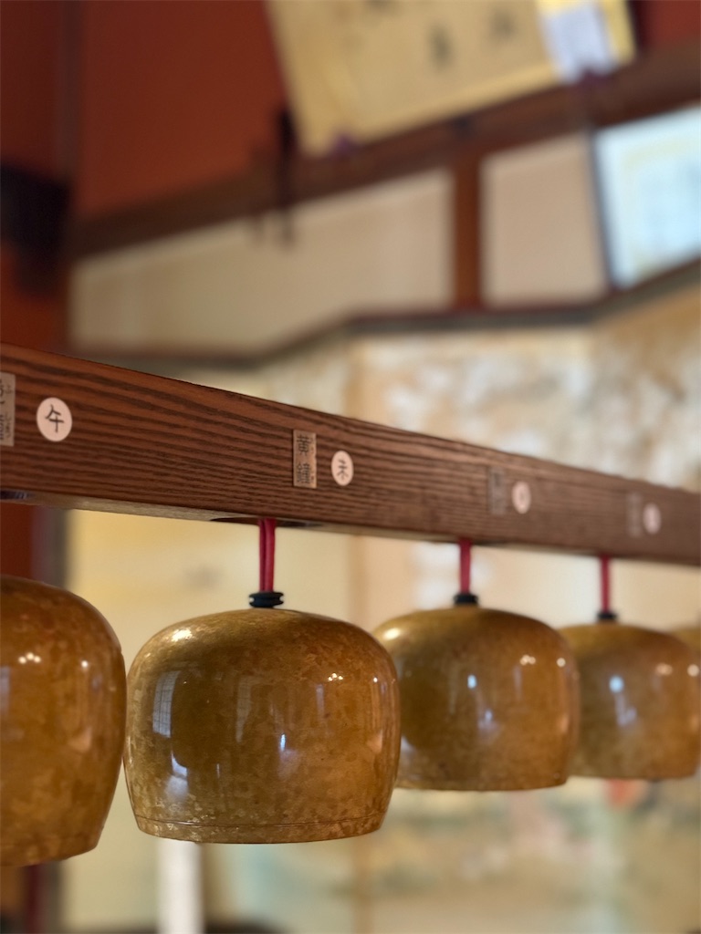 f:id:nozosan-net:20250414084753j:image