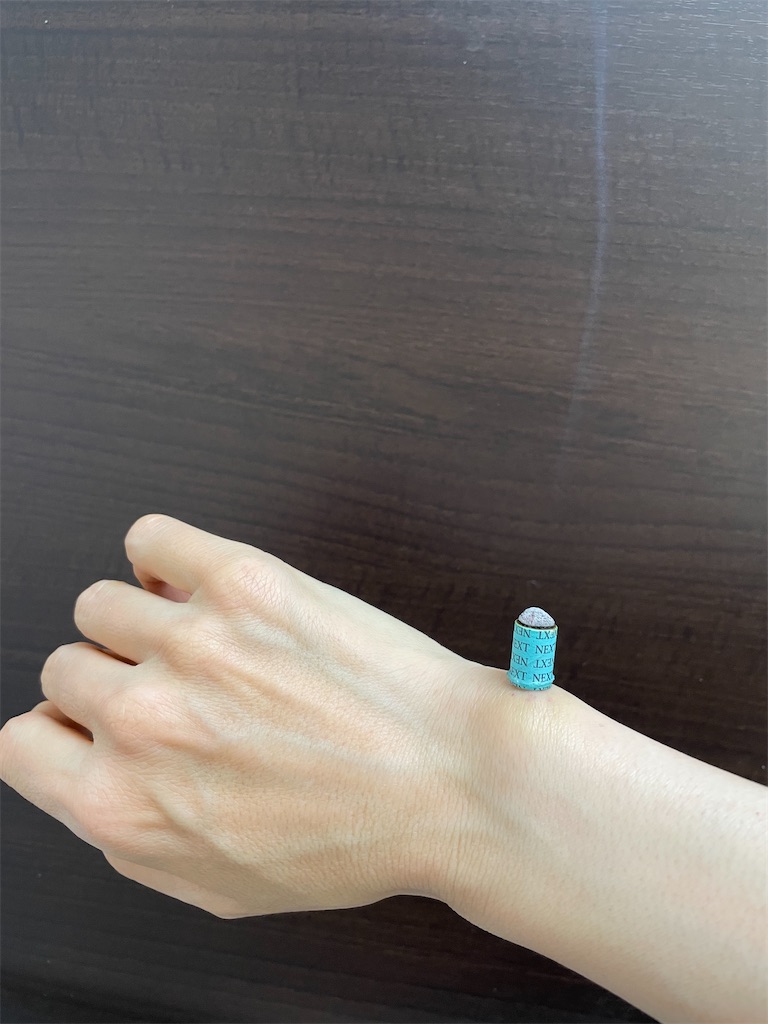 f:id:nozosan-net:20250522085451j:image