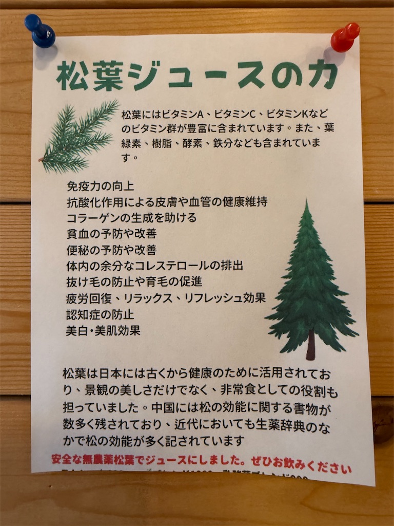 f:id:nozosan-net:20250525084905j:image