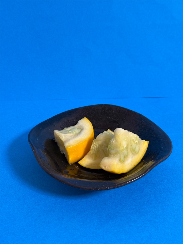 f:id:nozosan-net:20250528082543j:image
