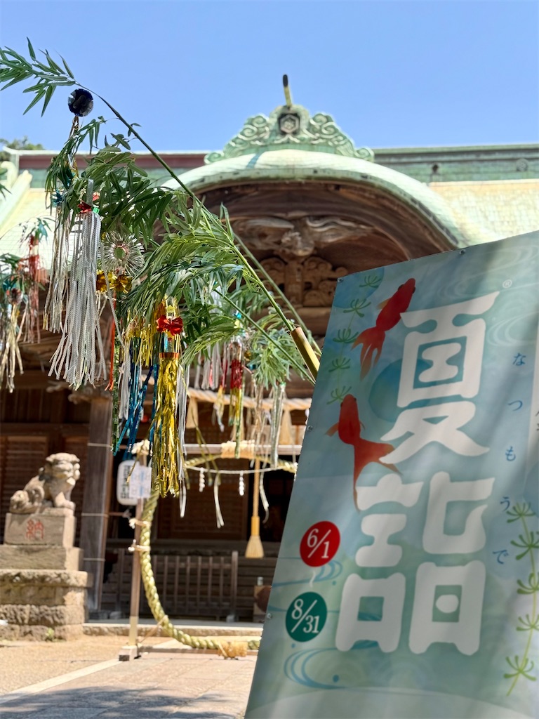 f:id:nozosan-net:20250608085844j:image f:id:nozosan-net:20250608085844j:image