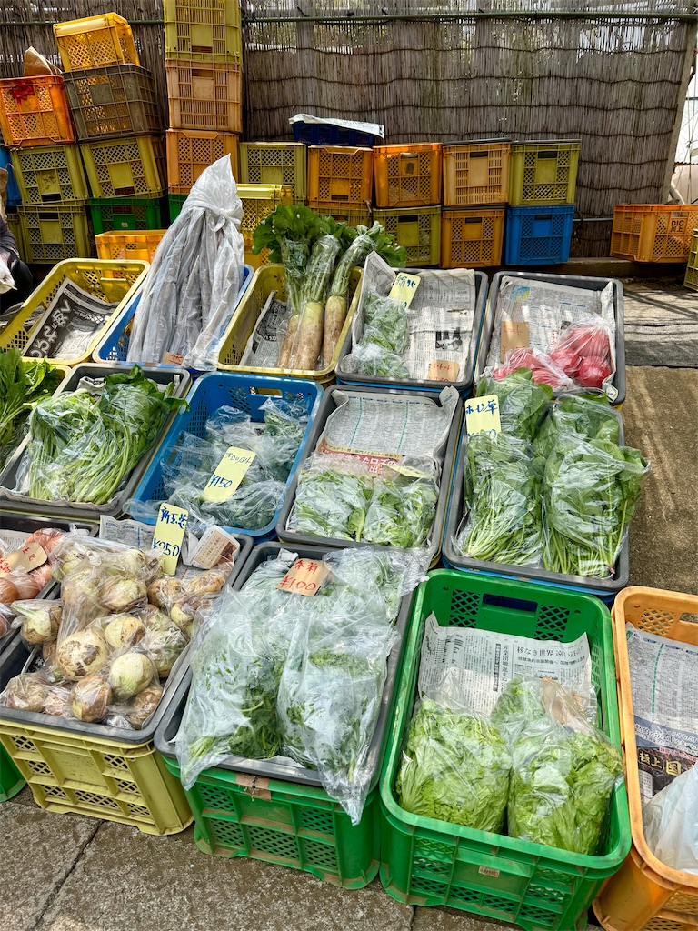 f:id:nozosan-net:20250616090425j:image