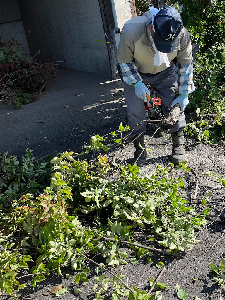 f:id:nozosan-net:20250926085449j:image