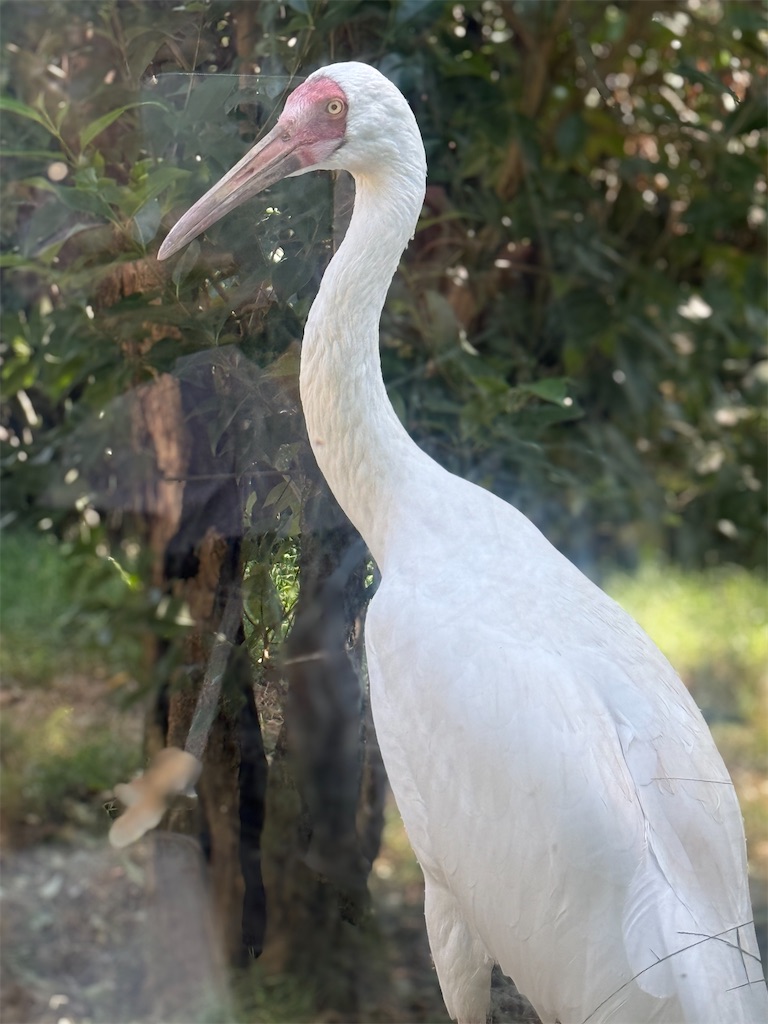 f:id:nozosan-net:20250927085044j:image