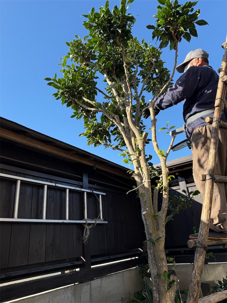 f:id:nozosan-net:20251112084659j:image