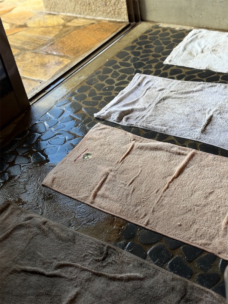 f:id:nozosan-net:20251113090937j:image