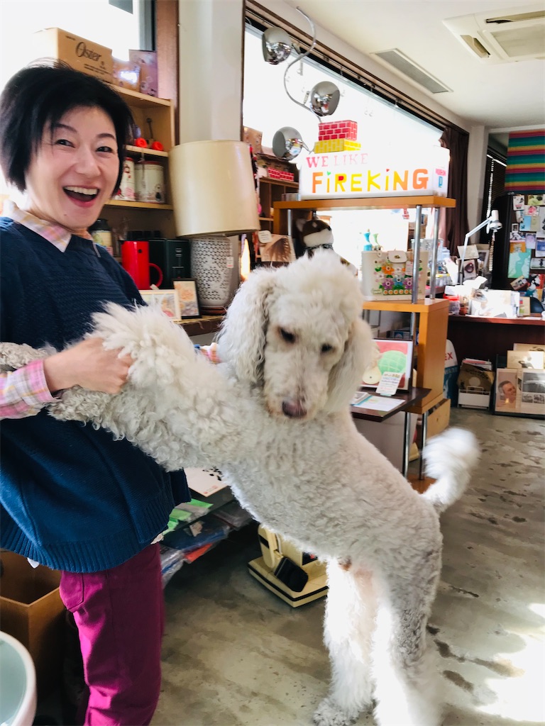 f:id:nozosan-net:20251219083609j:image