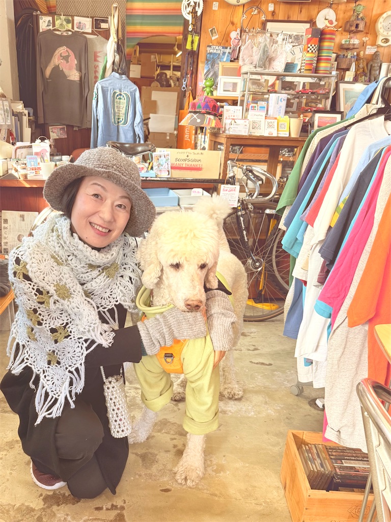 f:id:nozosan-net:20251219083617j:image