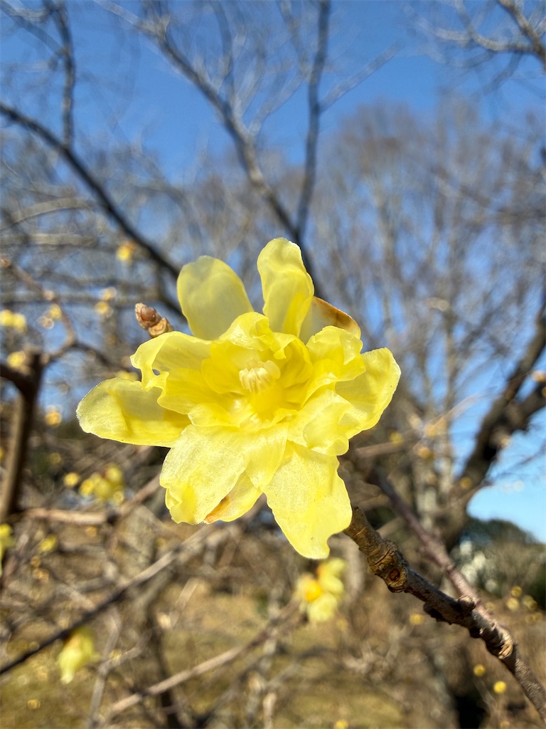 f:id:nozosan-net:20260119084930j:image