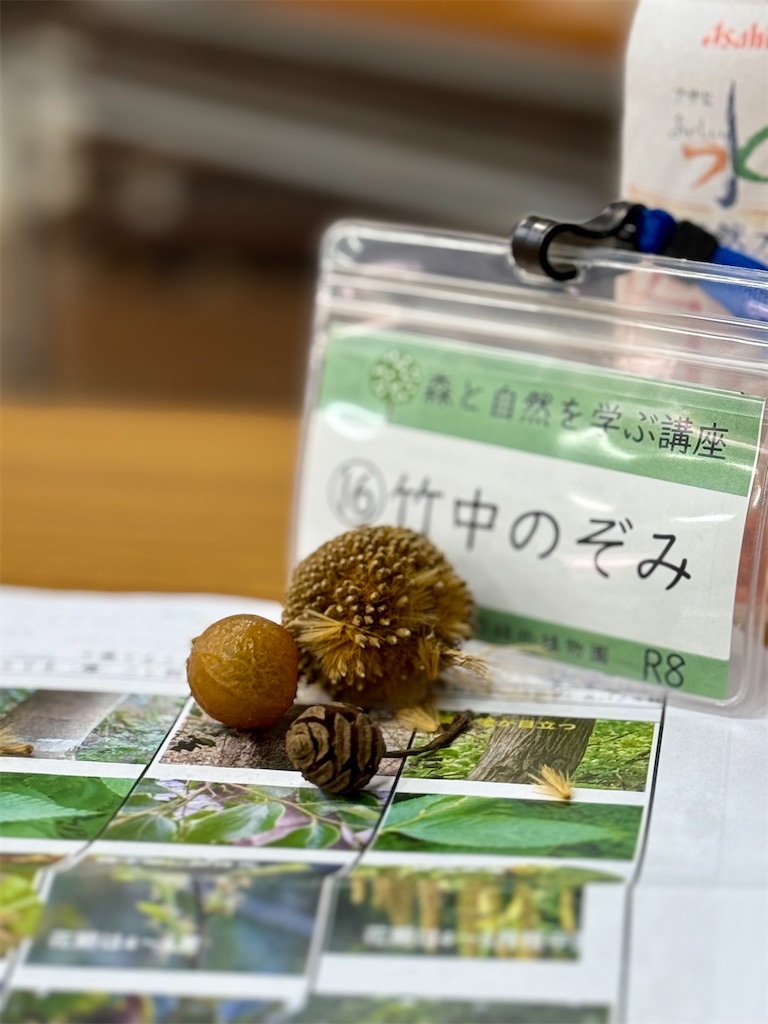 f:id:nozosan-net:20260409085951j:image