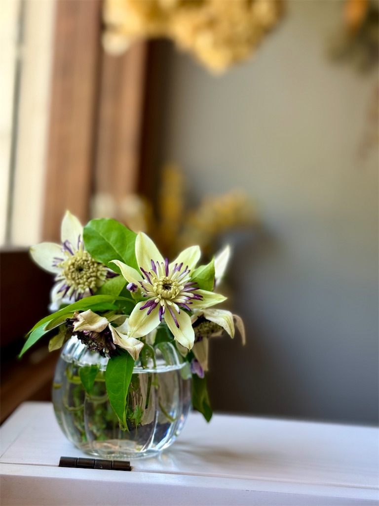 f:id:nozosan-net:20260514091012j:image