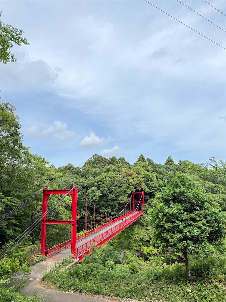 f:id:nozosan-net:20260603085753j:image