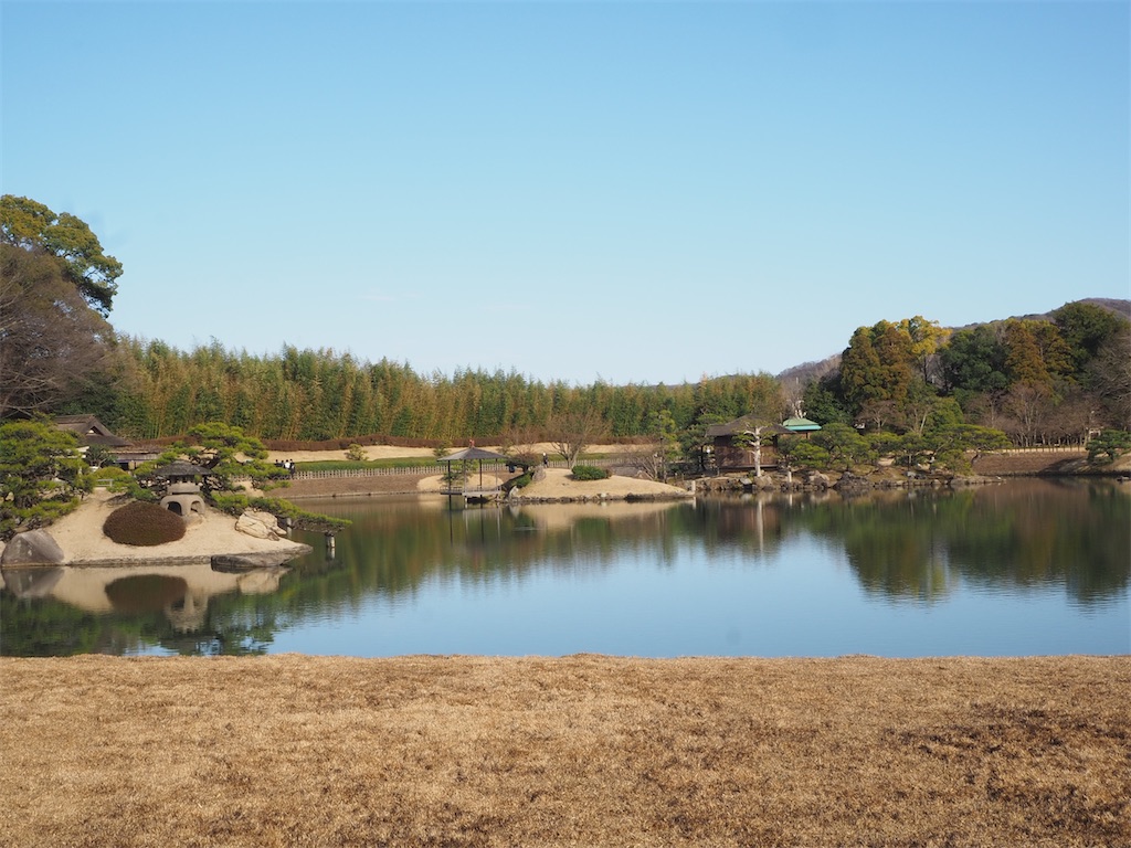 f:id:nozucurry:20200327190252j:image