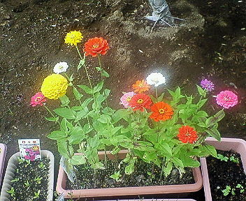 f:id:nozyu:20080705095435j:image f:id:nozyu:20080705095435j:image