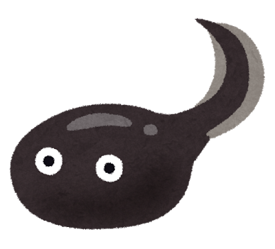 f:id:np2LKoo:20170807233625p:plain f:id:np2LKoo:20170807233625p:plain