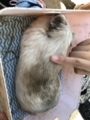 20180730140348
