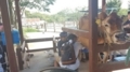 20180801130539