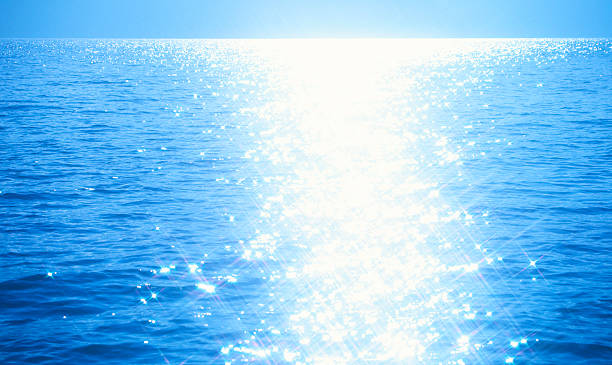 f:id:npoacoa:20200411003706j:plain f:id:npoacoa:20200411003706j:plain