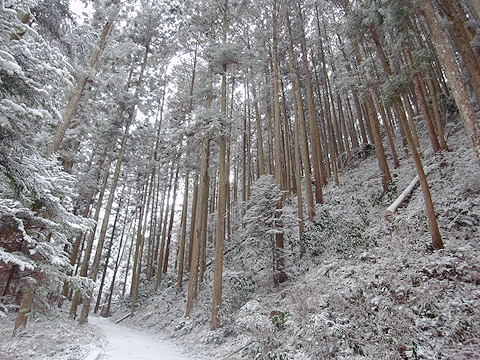 f:id:nponewmoon:20100114180917j:image