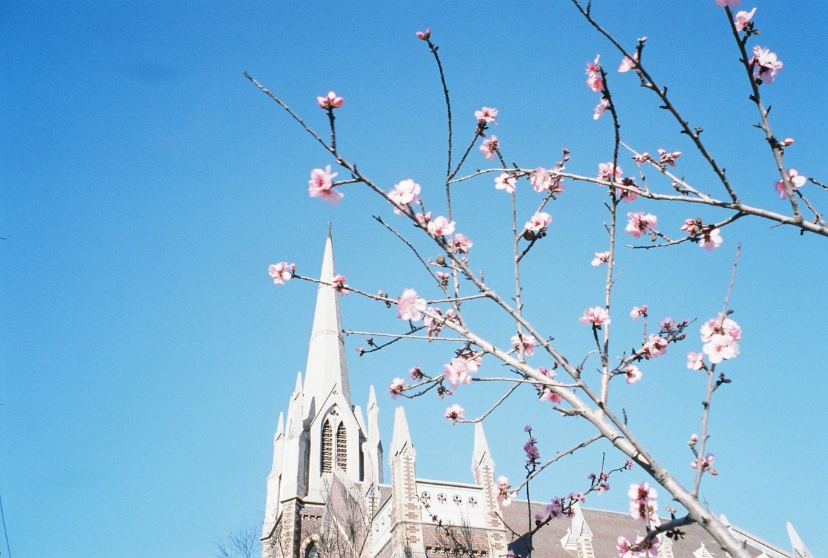 f:id:npoteto:20200723230052j:plain f:id:npoteto:20200723230052j:plain