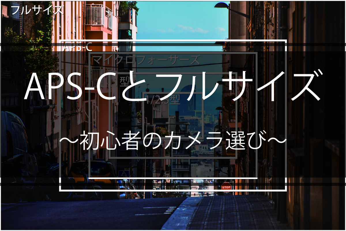 f:id:nptyh418:20191111203712j:plain f:id:nptyh418:20191111203712j:plain