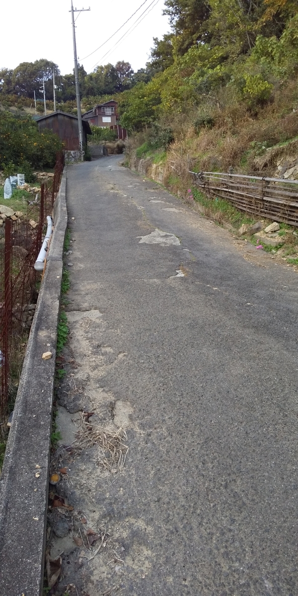 f:id:nrt5033:20201208160101j:plain