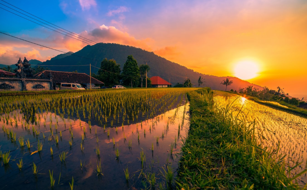 f:id:nrtssk:20190521183933p:plain f:id:nrtssk:20190521183933p:plain