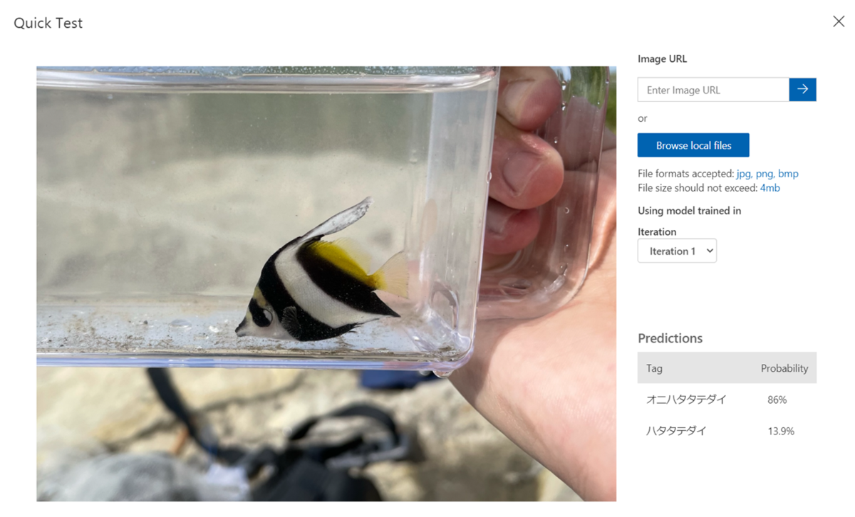 Custom Visionを使って、似ている魚を判別できるか試してみた