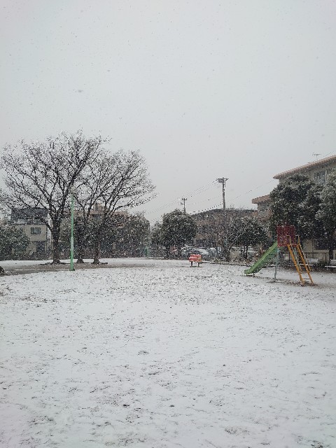 f:id:ns4424:20220106140919j:image f:id:ns4424:20220106140919j:image