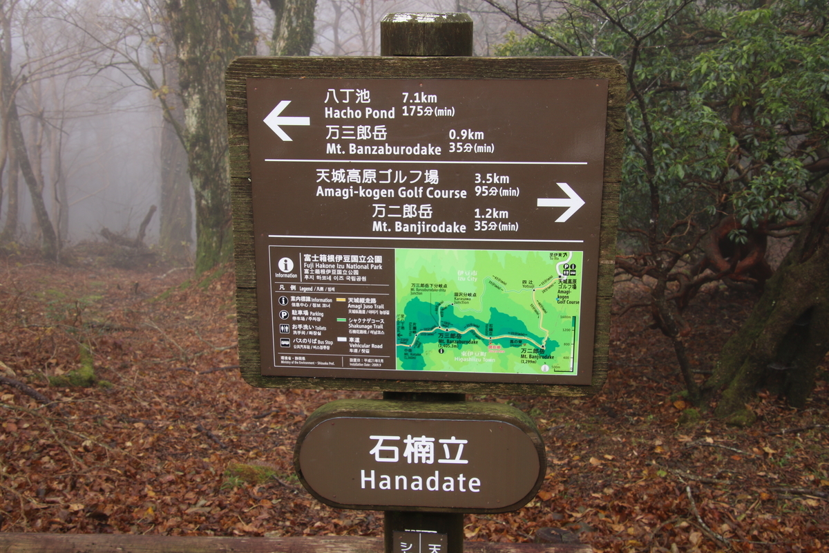 f:id:ns519:20191203233844j:plain