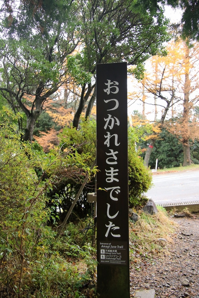 f:id:ns519:20191203235037j:plain