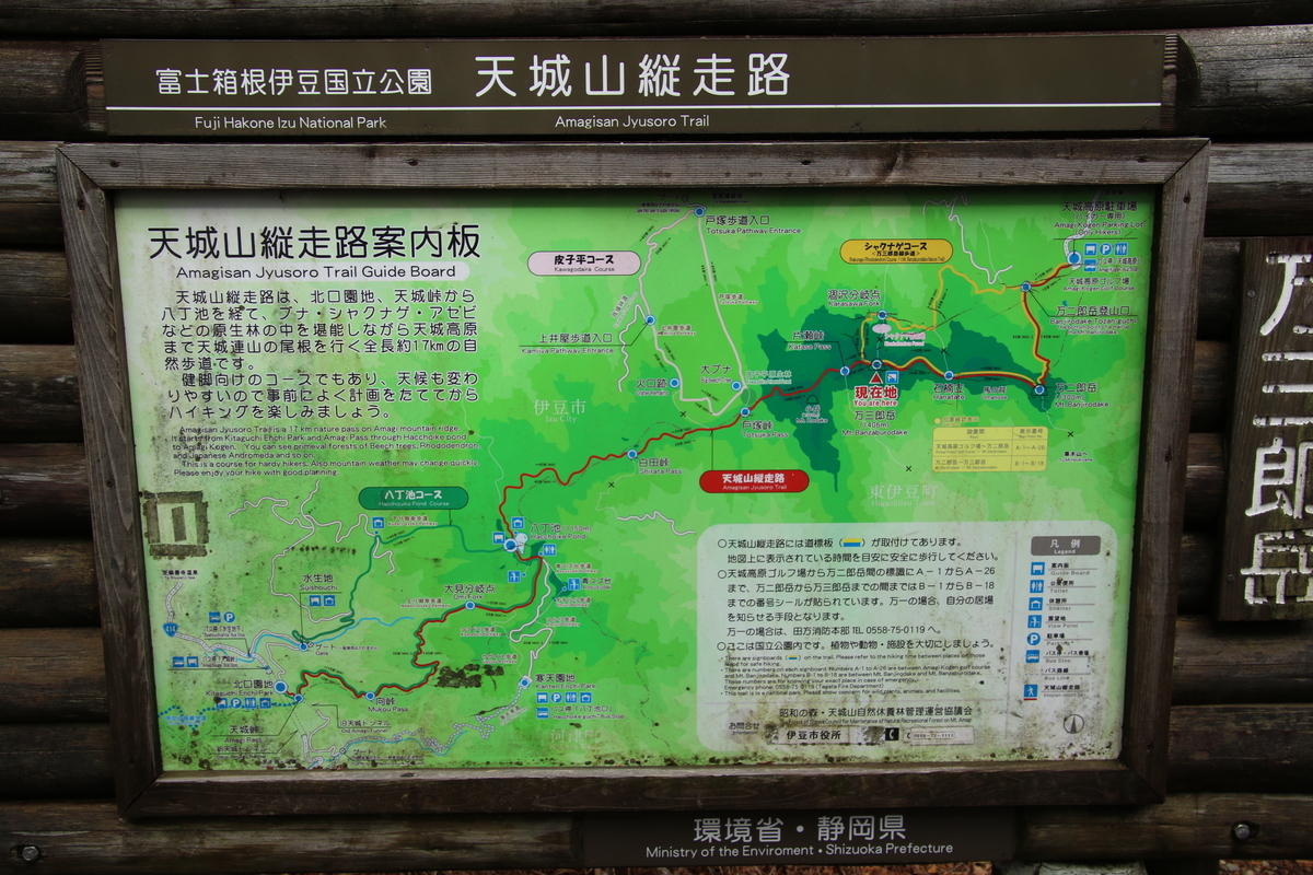f:id:ns519:20191204000526j:plain