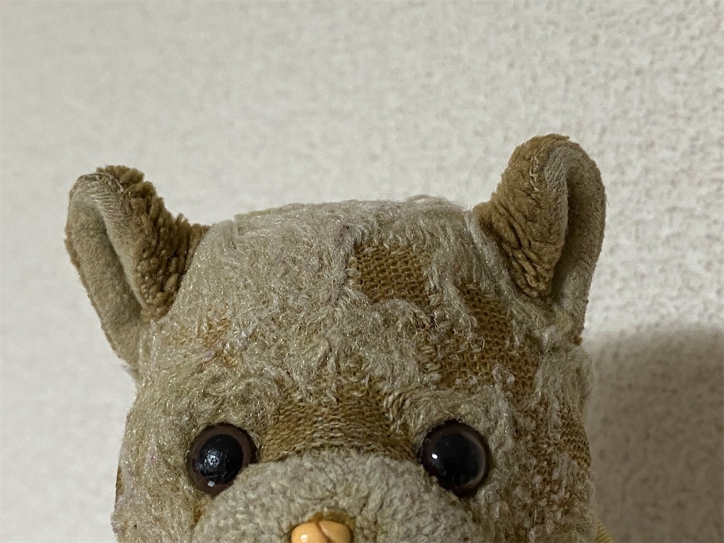 f:id:nsandkitty:20230729231523j:image