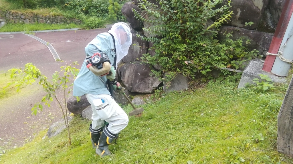 f:id:nshintaro:20180728110046j:plain
