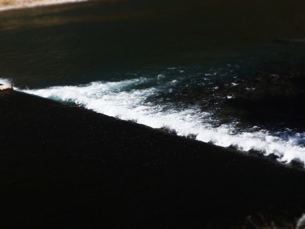 f:id:nshintaro:20190313210244j:plain