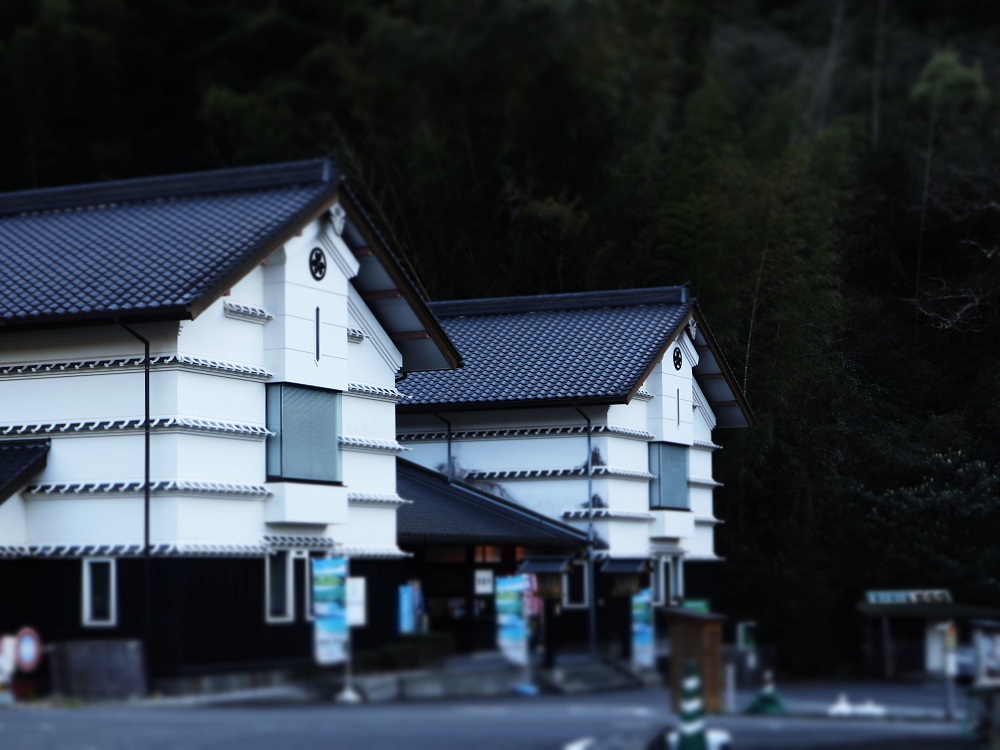 f:id:nshintaro:20190313210250j:plain