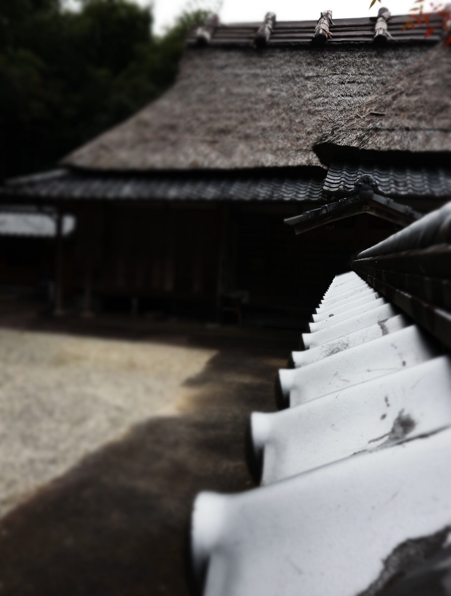 f:id:nshintaro:20190318182608j:plain