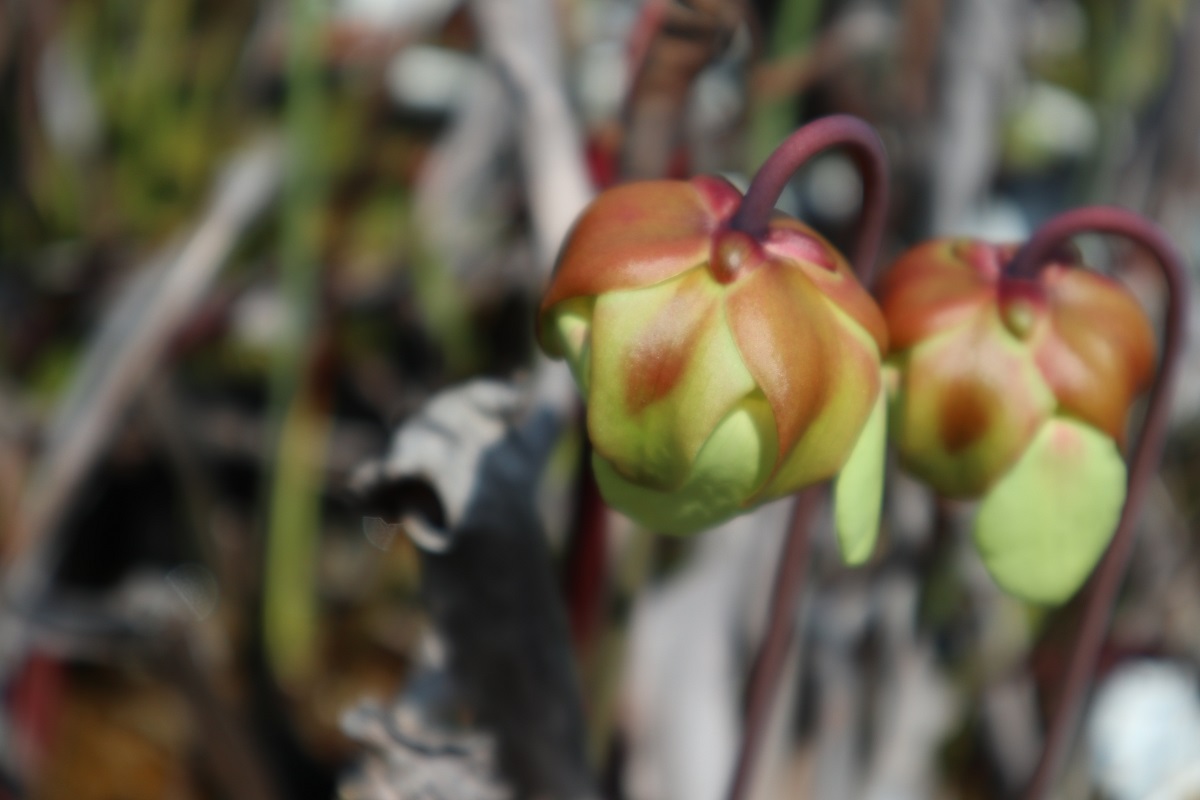 f:id:nshintaro:20190419163852j:plain f:id:nshintaro:20190419163852j:plain