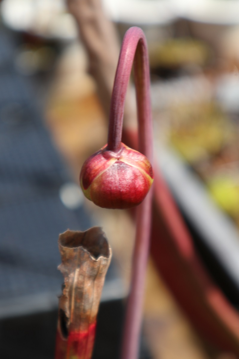 f:id:nshintaro:20190419163909j:plain f:id:nshintaro:20190419163909j:plain