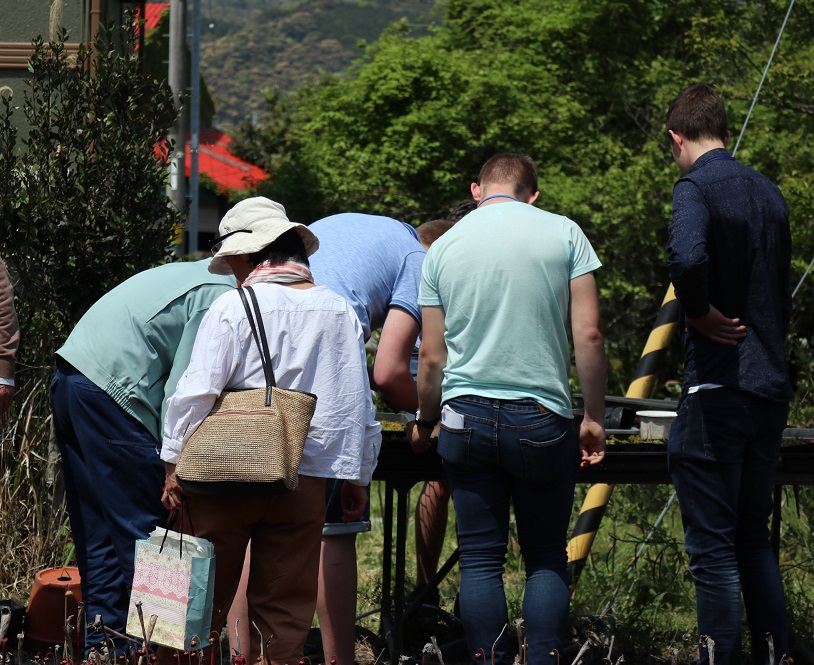 f:id:nshintaro:20190419164159j:plain f:id:nshintaro:20190419164159j:plain