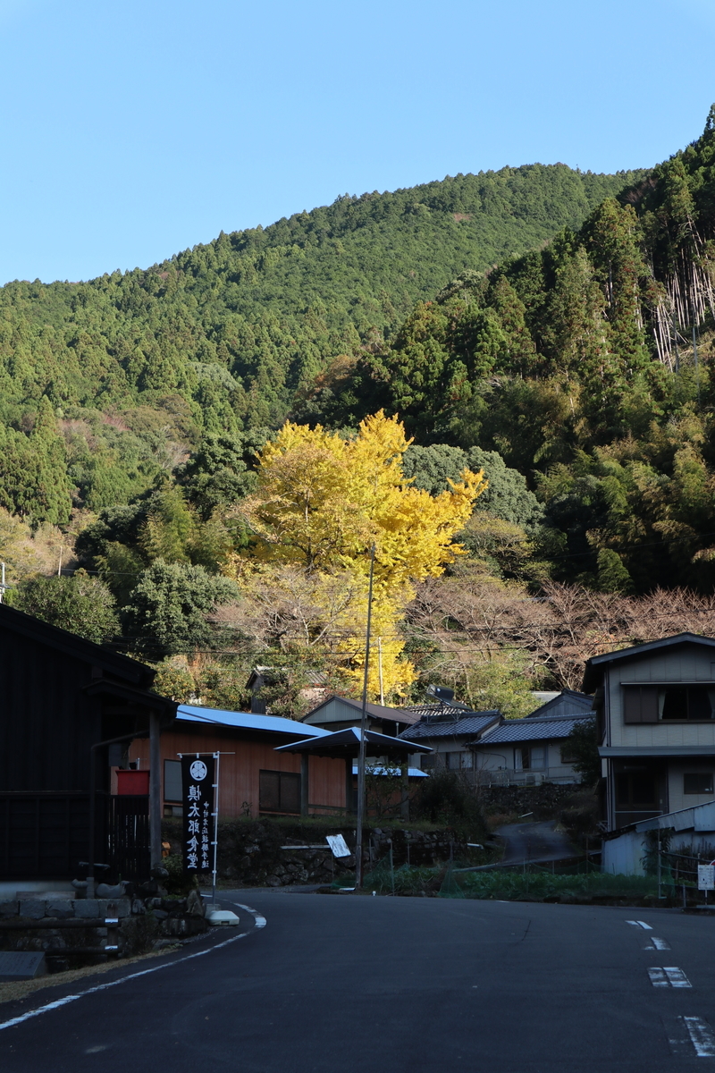 f:id:nshintaro:20191213200025j:plain