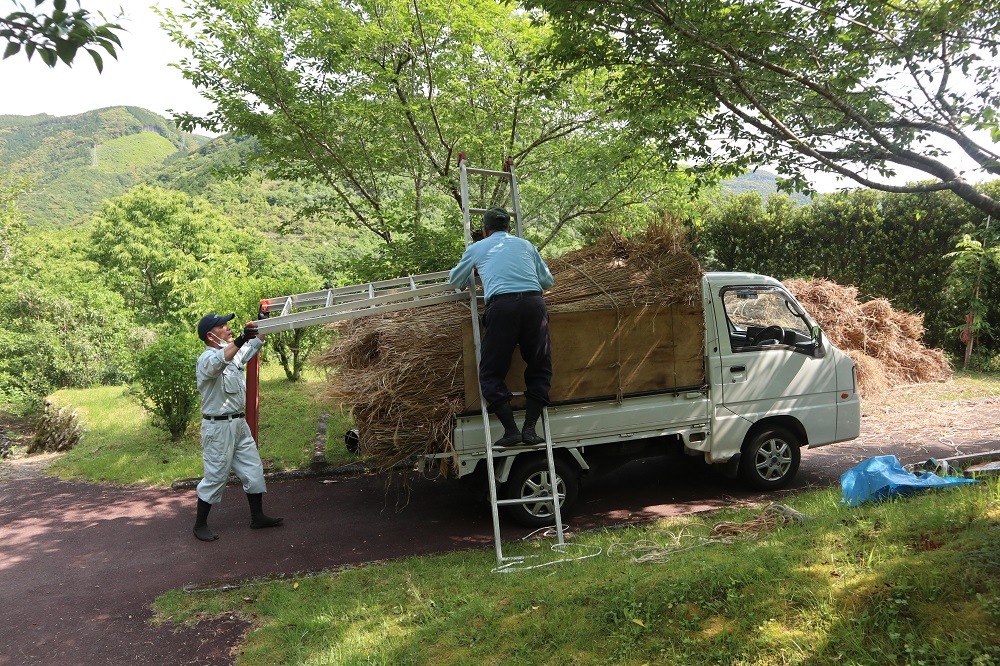 f:id:nshintaro:20200526125328j:plain