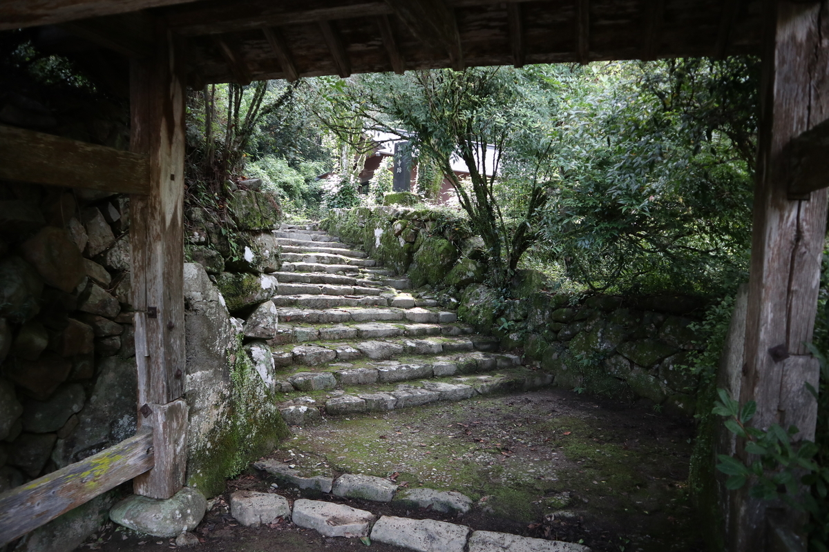 f:id:nshintaro:20200718113701j:plain