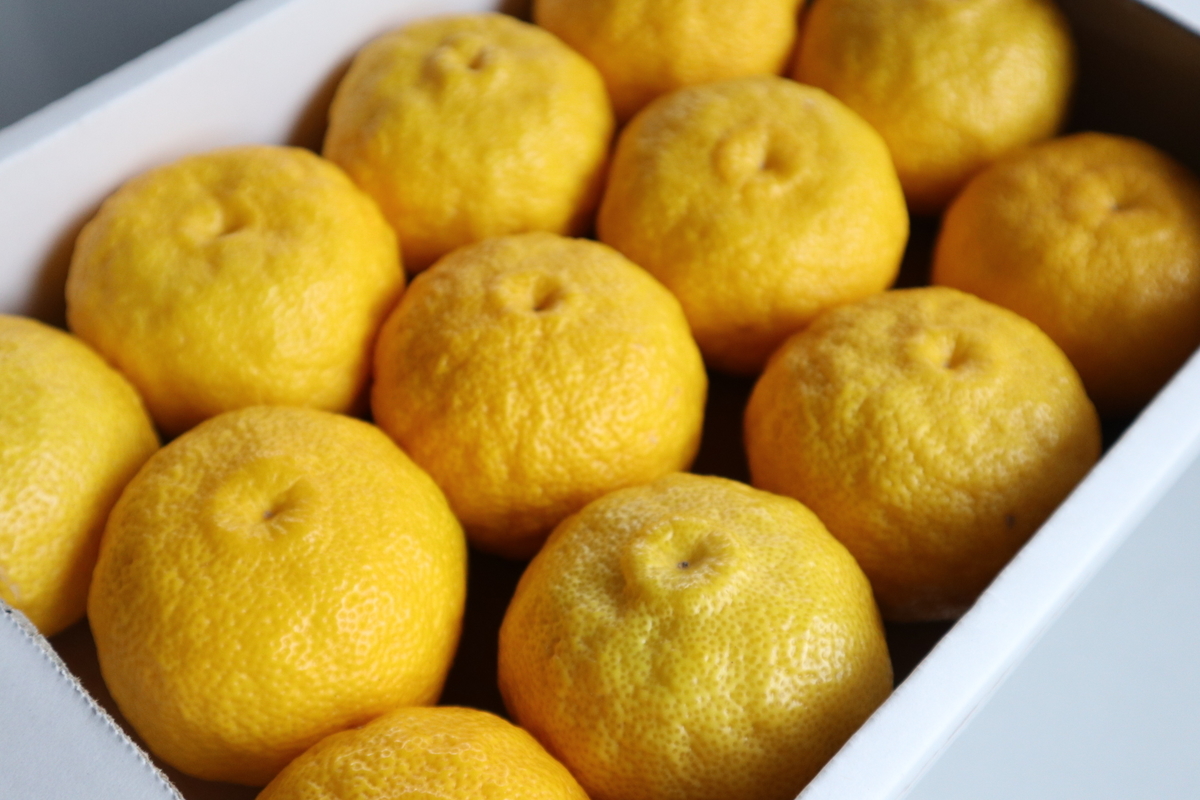 f:id:nshintaro:20201012192333j:plain