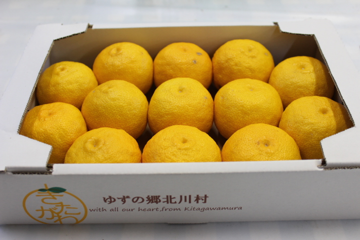 f:id:nshintaro:20201012192346j:plain