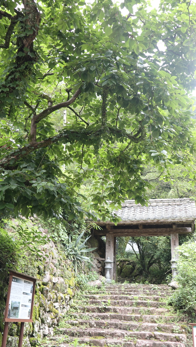 f:id:nshintaro:20210705180123j:plain