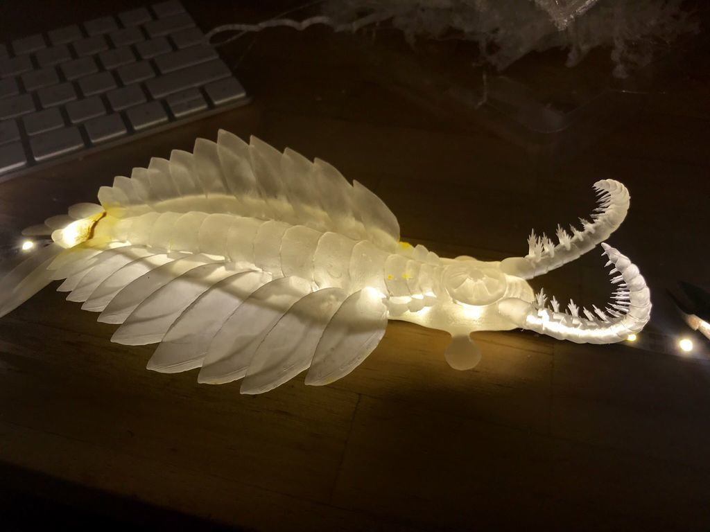f:id:nsk31:20190304225415j:plain