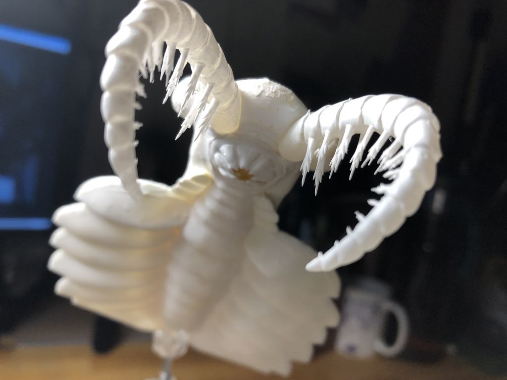 f:id:nsk31:20190312000510j:plain